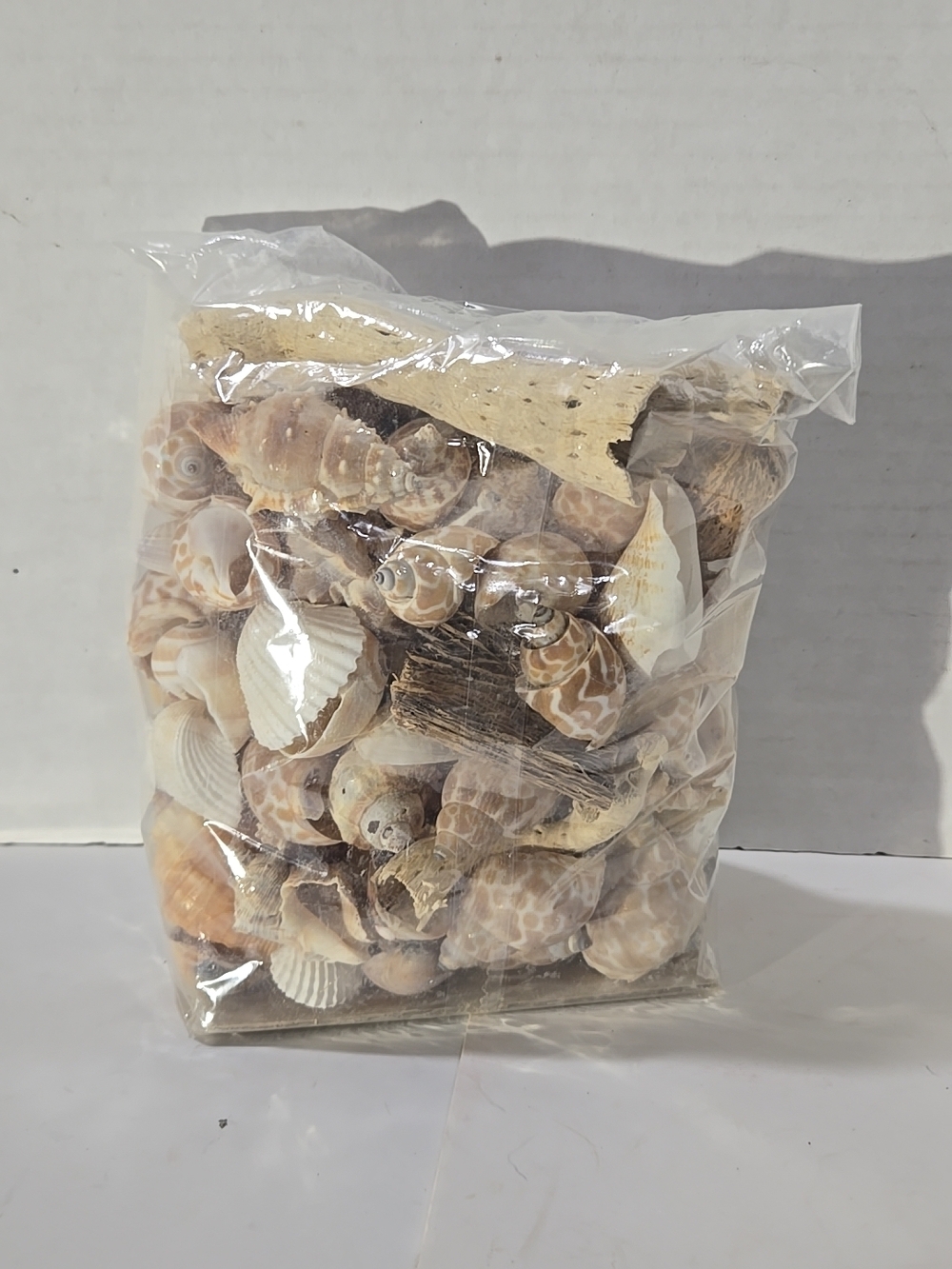 Mixed Natural Seashell Decor Bag - Beige & Cream Tones 2lbs